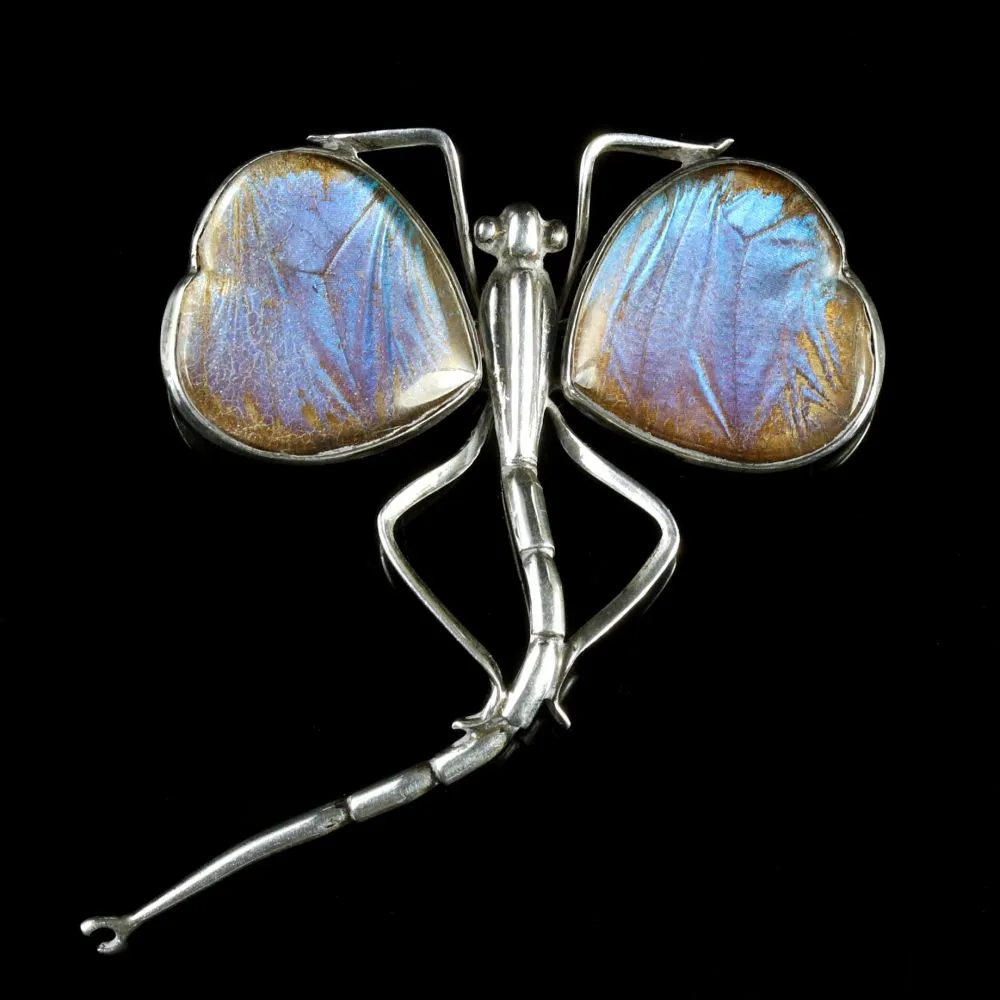 Victorian Butterfly Wing Silver Brooch Circa 1900