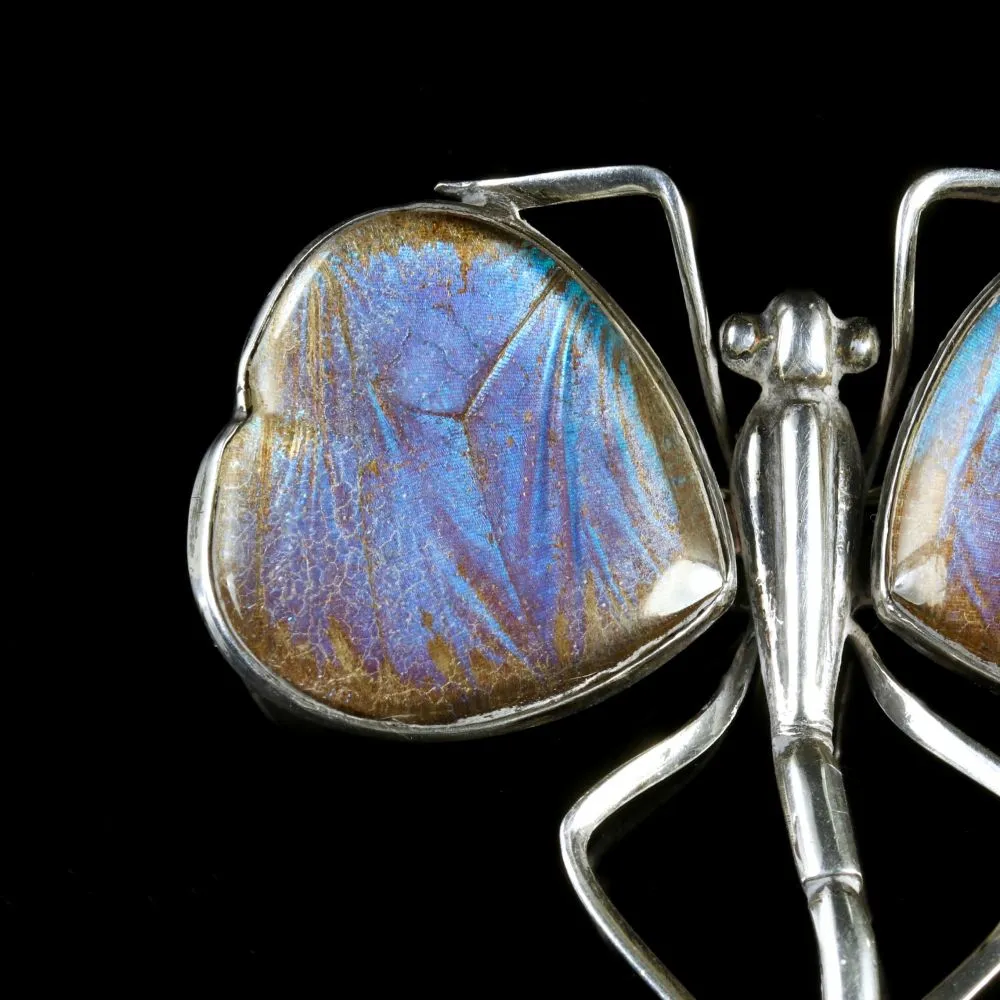 Victorian Butterfly Wing Silver Brooch Circa 1900