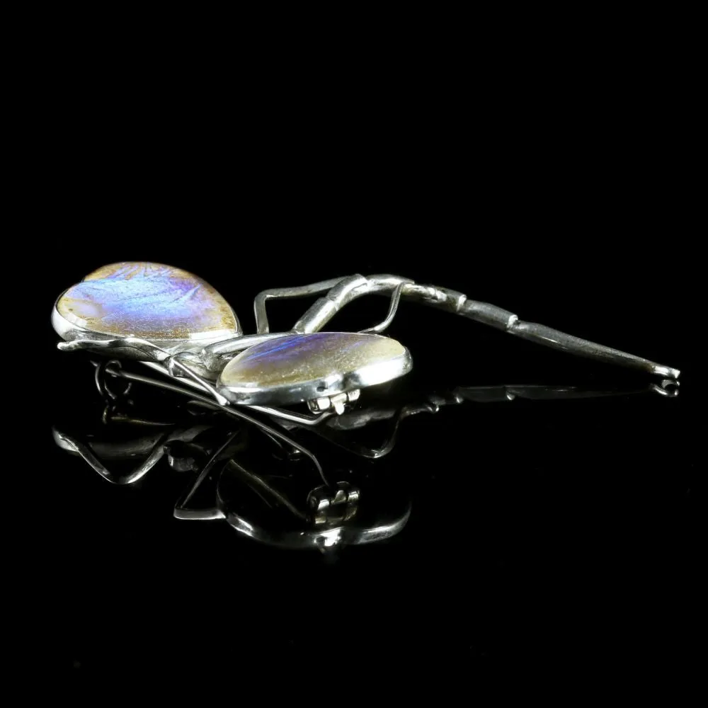 Victorian Butterfly Wing Silver Brooch Circa 1900